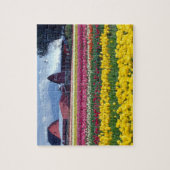 Tulpenveld Legpuzzel (Verticaal)