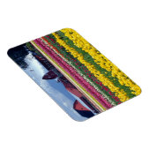 Tulpenveld Magneet (Rechterzijde)
