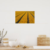 Tulpenveld, Nederland Poster (Keuken)