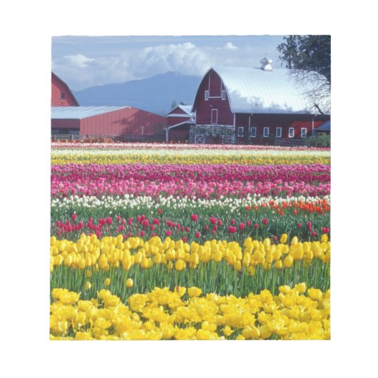 Tulpenveld Notitieblok (Voorkant)
