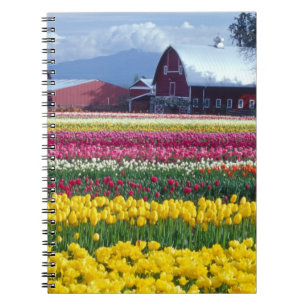 Tulpenveld Notitieboek