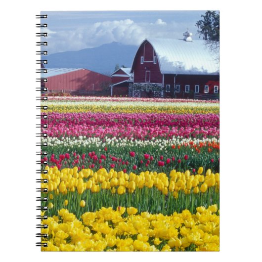 Tulpenveld Notitieboek (Voorkant)