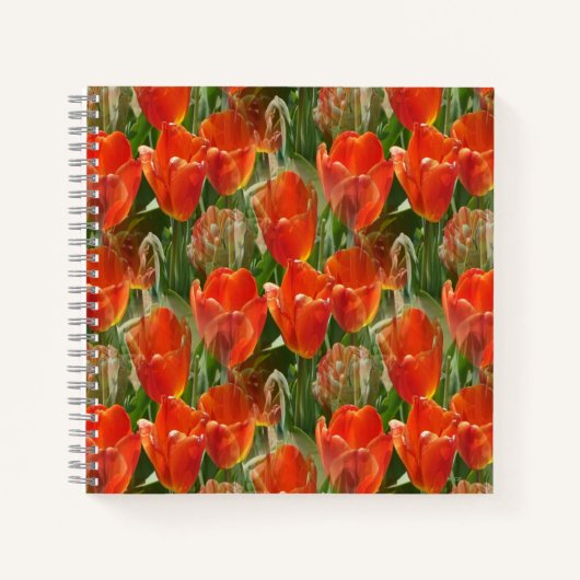 Tulpenveld....... Notitieboek (Voorkant)