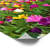 Tulpenveld, Oregon Poster (Hoek)