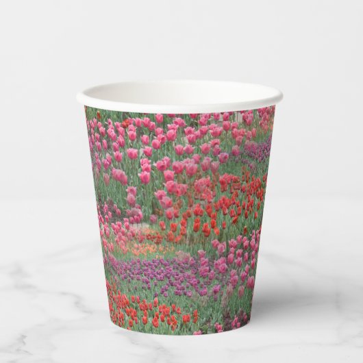 Tulpenveld Papieren Bekers (Voorkant)