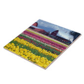 Tulpenveld Tegeltje (Zijkant)