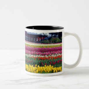 Tulpenveld Tweekleurige Koffiemok
