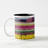 Tulpenveld Tweekleurige Koffiemok (Links)