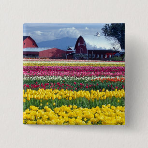 Tulpenveld Vierkante Button 5,1 Cm