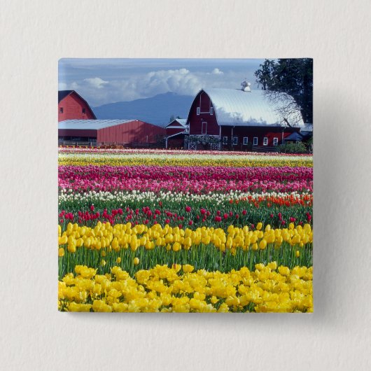 Tulpenveld Vierkante Button 5,1 Cm (Voorkant)