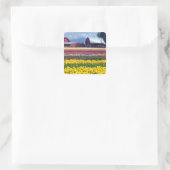 Tulpenveld Vierkante Sticker (Tas)