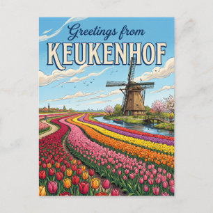 Tulpenvelden & Molens, Lisse Nederland Briefkaart