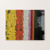Tulpenveldenpuzzel, 28 cm x 36 cm, 252 stukjes legpuzzel (Horizontaal)