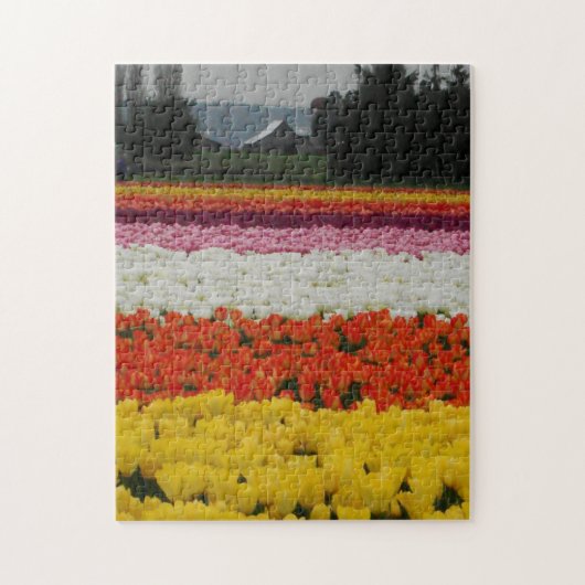 Tulpenveldenpuzzel, 28 cm x 36 cm, 252 stukjes legpuzzel (Verticaal)