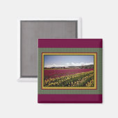 Tulpenveldmagneet Magneet (Voorkant / Achterkant)