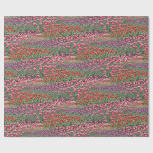 Tulpenwandelpapier Cadeaupapier (Vlak)