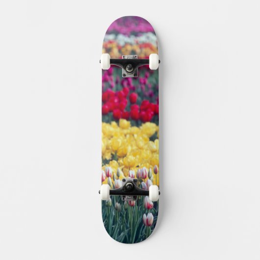 Tulpenweide in de Skagit-vallei, Persoonlijk Skateboard (Voorkant)
