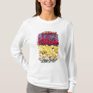Tulpenweide in de Skagit-vallei, T-shirt