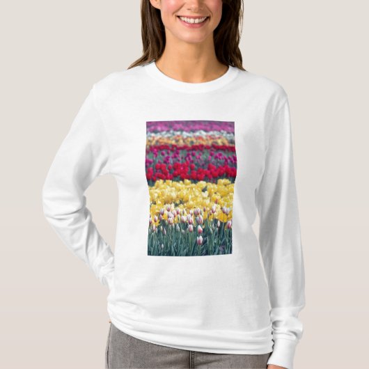 Tulpenweide in de Skagit-vallei, T-shirt (Voorkant)