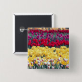 Tulpenweide in de Skagit-vallei, Vierkante Button 5,1 Cm (Voorkant /achterkant)