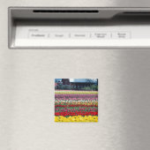 Tulpenweide, Skagit county, Magneet (Insitu (Vaatwasser))