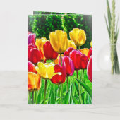 TulpenWenskaart Feestdagen Kaart (Achterkant)