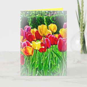 TulpenWenskaart Feestdagen Kaart