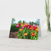 TulpenWenskaart Feestdagen Kaart (Voorkant)