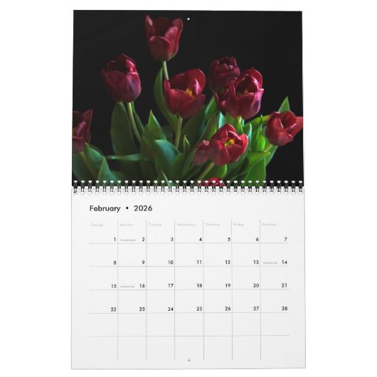 Tulpkalender Kalender (Feb 2026)