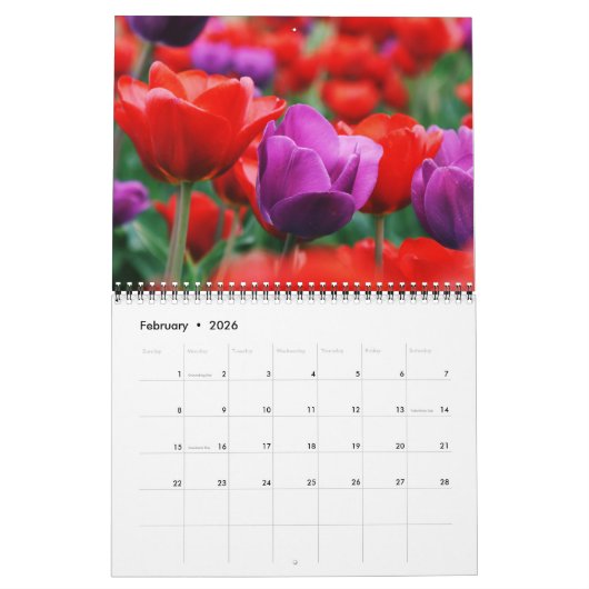 Tulpkalender Kalender (Feb 2026)