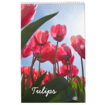 Tulpkalender
