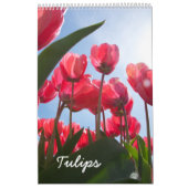Tulpkalender Kalender (Hoes)