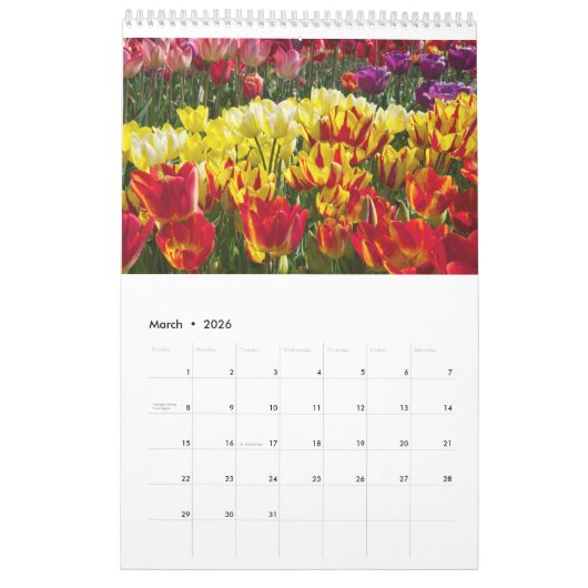 Tulpkalender Kalender (Mar 2026)