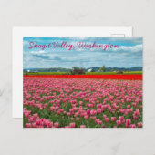Tulplente van Skagit Valley Briefkaart (Voorkant / Achterkant)