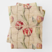 Tulppakpapier Inpakpapier Vel (In situ)