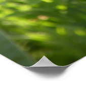 Tulps afdrukken poster (Hoek)