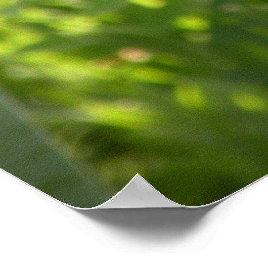 Tulps afdrukken poster (Hoek)