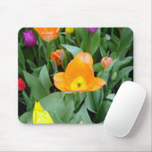 Tulps at the Eden Project, Cornwall, Verenigd Koni Muismat (Met muis)