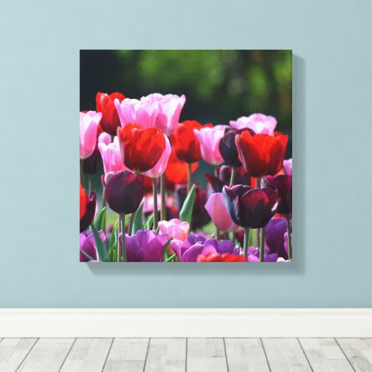 Tulps Canvas afdrukken (Insitu (Houten vloer))