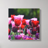 Tulps Canvas afdrukken (Voorkant)