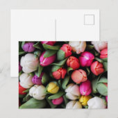 Tulps Colorful Flowers Paaslente Briefkaart (Voorkant / Achterkant)