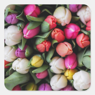Tulps Colorful Flowers Paaslente Vierkante Sticker