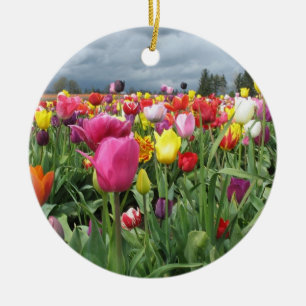Tulps Field Ornament