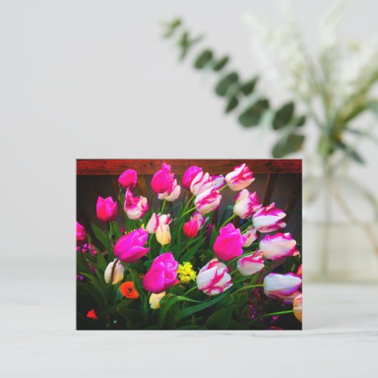 Tulps kerstdromen en griezelig #1 Briefkaart (Staand voorkant)