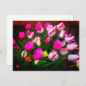 Tulps kerstdromen en griezelig #1 Briefkaart (Voorkant / Achterkant)