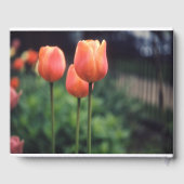 Tulps Spring Floral Tulip Garden Flowers Gastenboek (Achterkant)