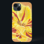 Tulpstroom II Case-Mate iPhone Case<br><div class="desc">Floral</div>