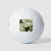 Tulpt het witte golfballen (Voorkant)