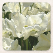 Tulpt het witte kartonnen onderzetters (Voorkant)