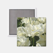 Tulpt het witte magneet (Voorkant / Achterkant)